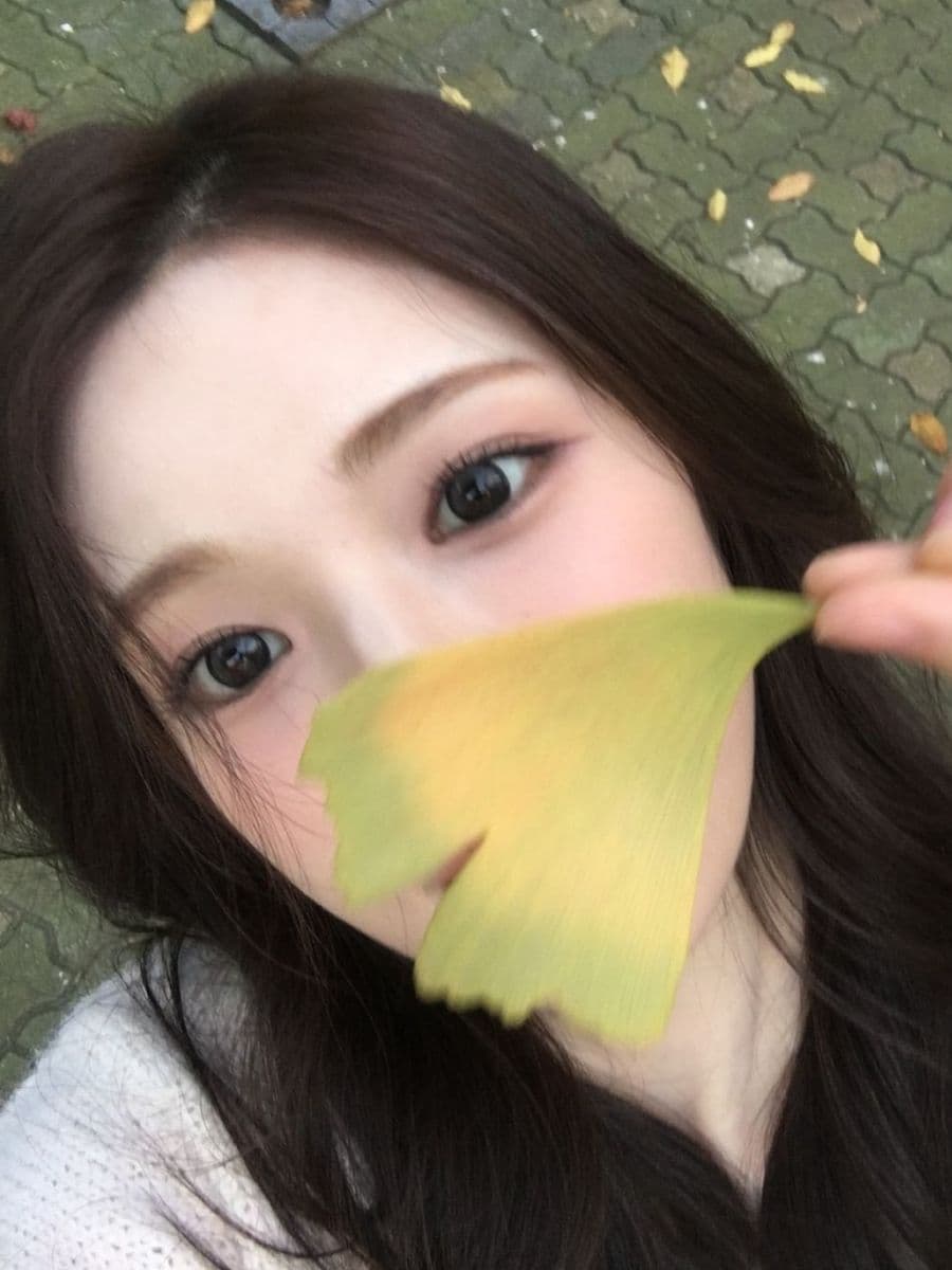 큰 직경 아니면 취급 안 해요
빅 직경 렌즈 모음